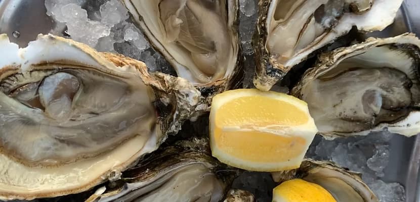 Bourriche Prestige — 5 douzaines